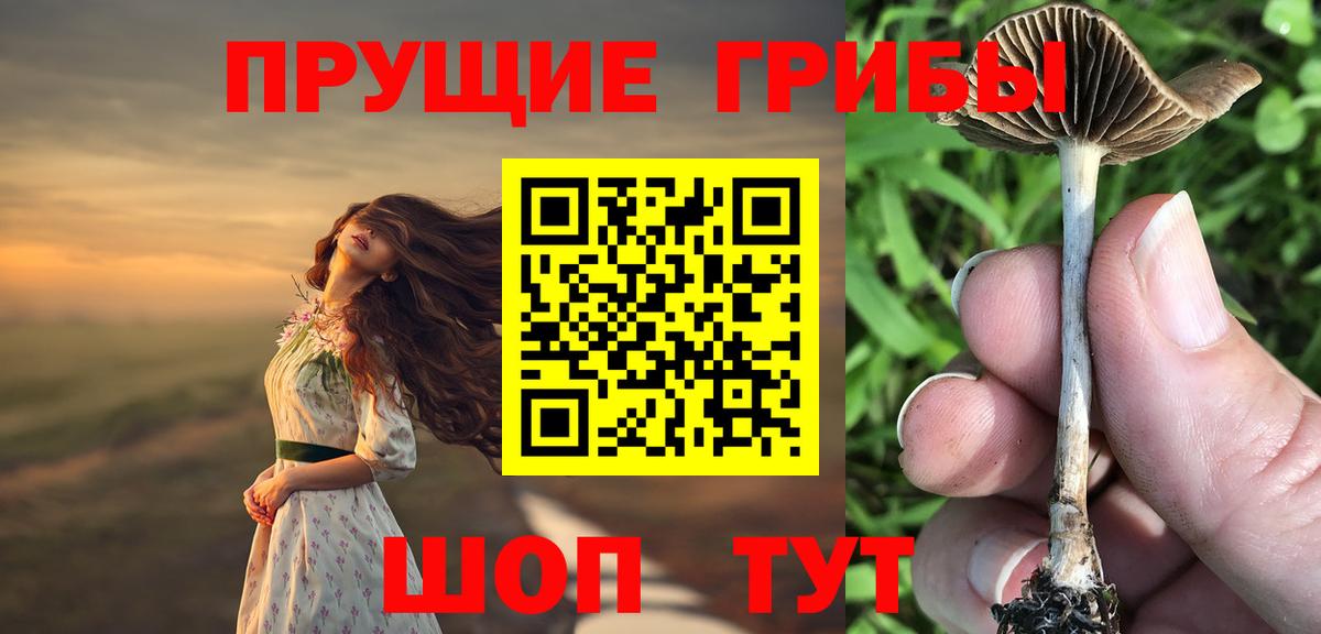 Псилоцибиновые грибы Psilocybine cubensis  Вход с VPN  Гулькевичи  Галлюциногенные грибы прущие грибы 